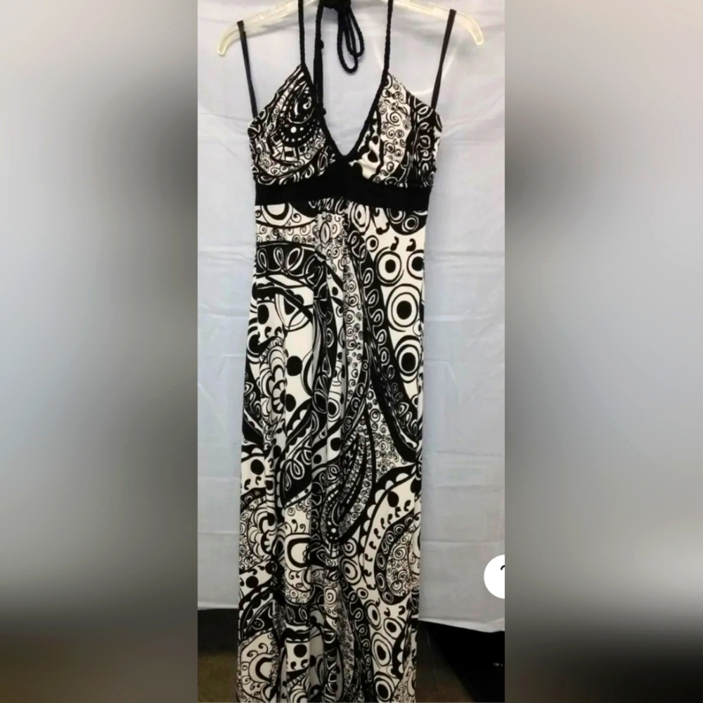 Bisou Bisou Maxi Dress Size Large